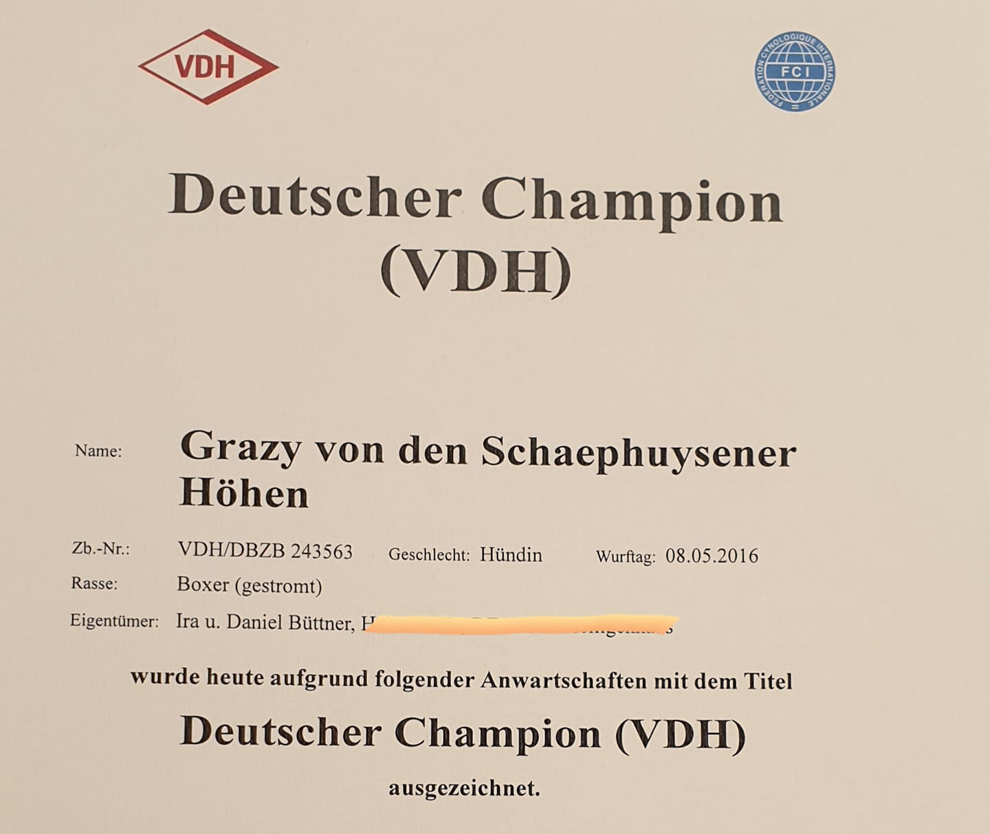 Grazy VDH Champion 2019